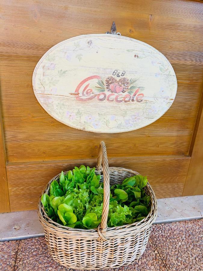 B&B Le Coccole Molveno Exterior photo
